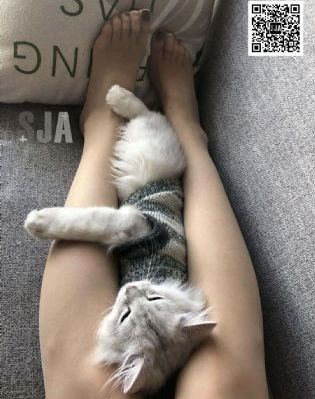 老公的家庭教师