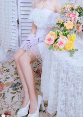 淑女的欲望