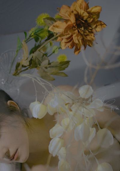 杏林春暖在线播放
