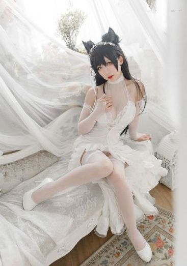 完美搭档2