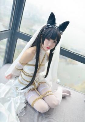 猎天狼 电视剧